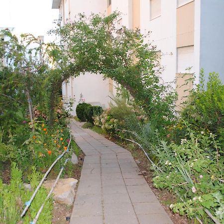 Jardim Das Flores فارو المظهر الخارجي الصورة