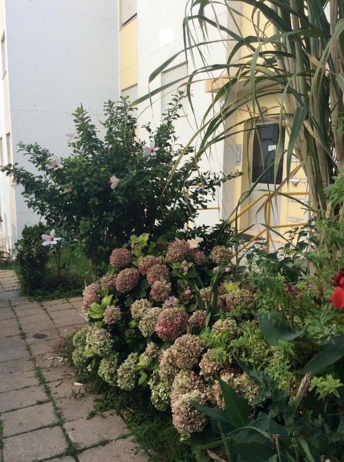 Jardim Das Flores فارو المظهر الخارجي الصورة